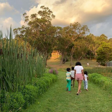 Iluka Retreat Glamping Village Red Hill South المظهر الخارجي الصورة
