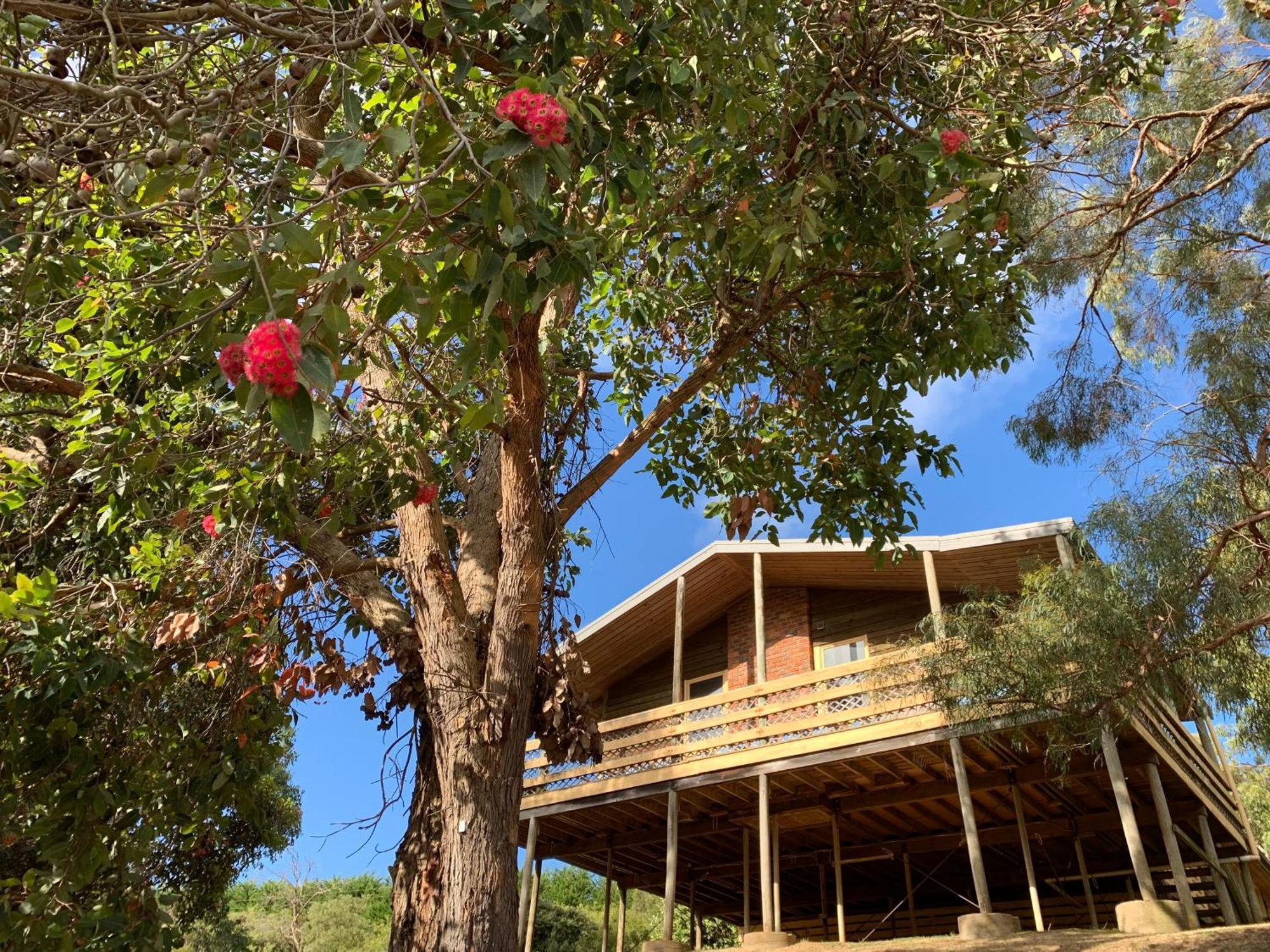 Iluka Retreat Glamping Village Red Hill South المظهر الخارجي الصورة